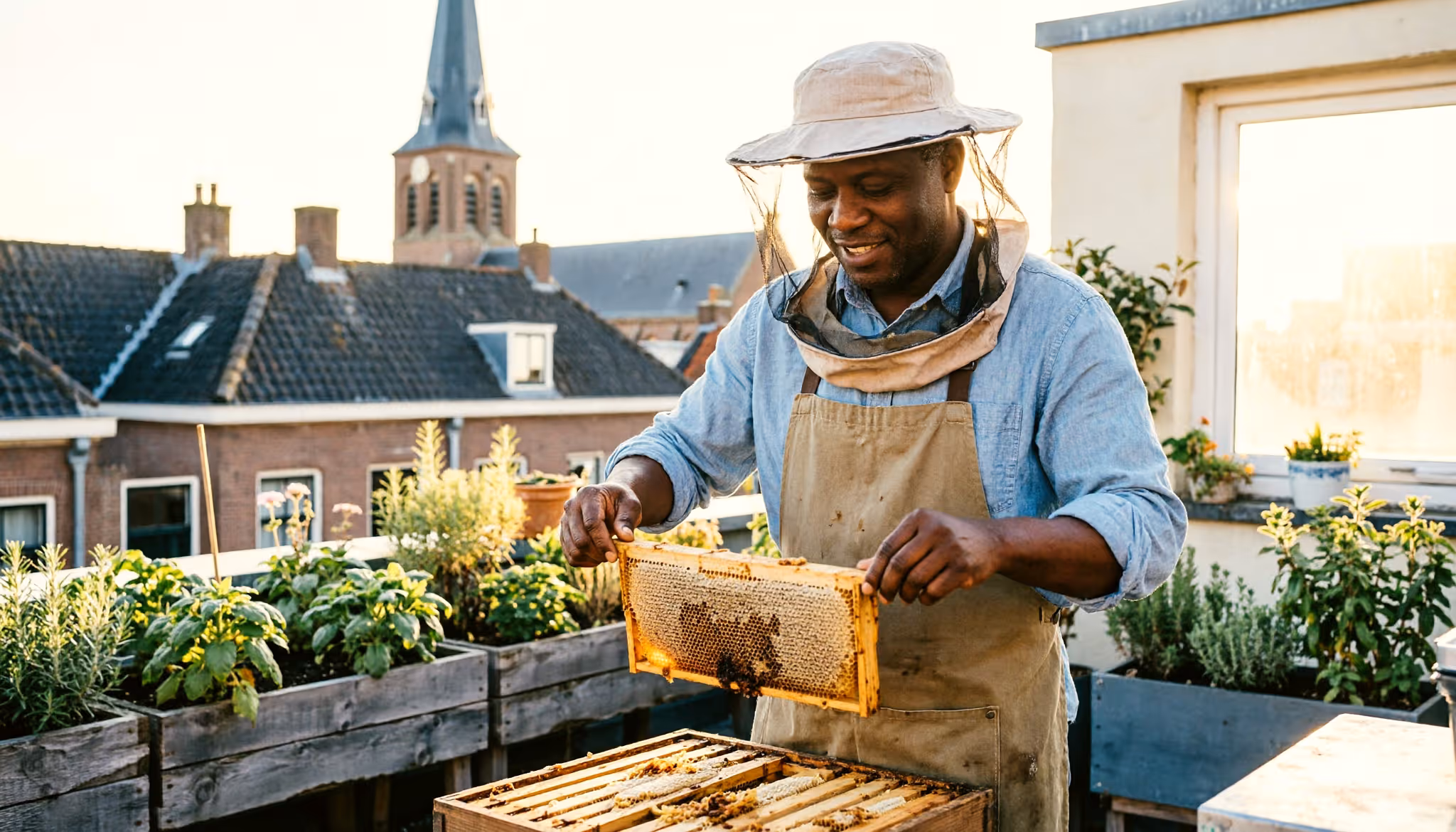 Een man verzorgt bijenkasten op een groen stadsdak in de late namiddag