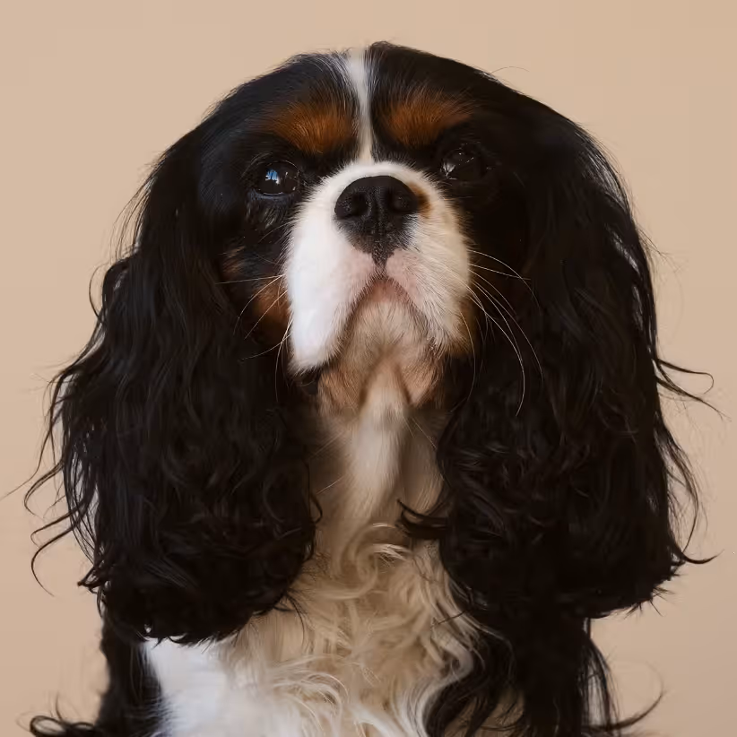 Walter